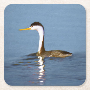 Clark's Grebe Painting - Original Bird Art Square Paper Coaster