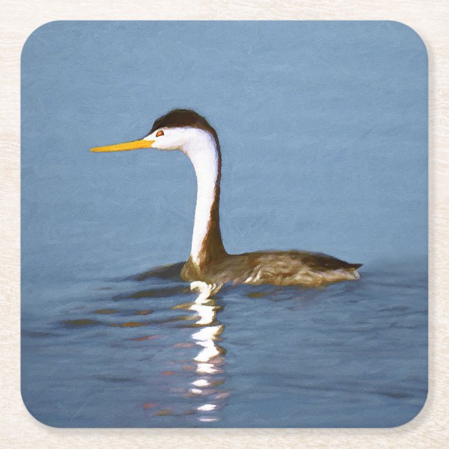 Clark's Grebe Painting - Original Bird Art Square Paper Coaster (Front)