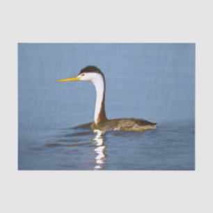 Clark's Grebe Painting - Original Bird Art Tissue Paper