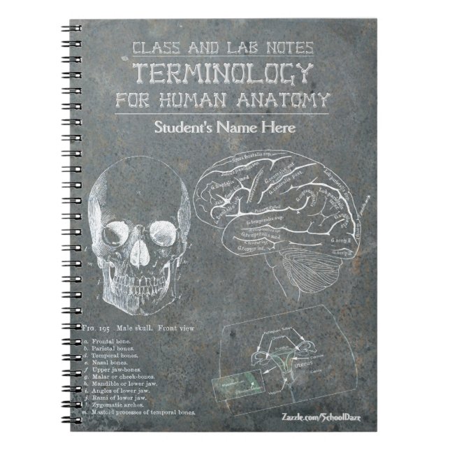 Class and Lab Notes - Terminology (Personalised) Spiral Notebook (Front)