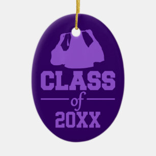 Class of ANY year custom ornament