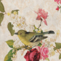 Classic Antique Cream Vintage Bird Roses & Florals
