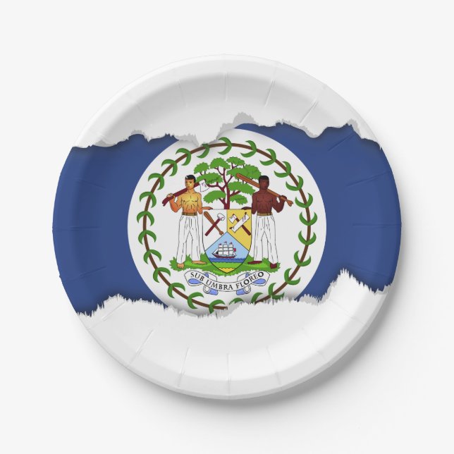 Classic Belise Flag Paper Plate (Front)