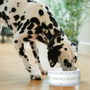 Classic Blue Green Plaid Pattern Name Dog Water