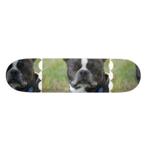Classic Boston Terrier Dog Skateboard
