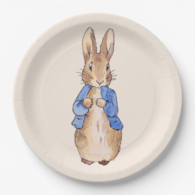 Classic bunny rabbit blue jacket paper plate (Front)