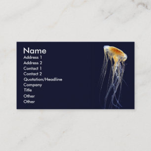Classic Card - Drifting Lace