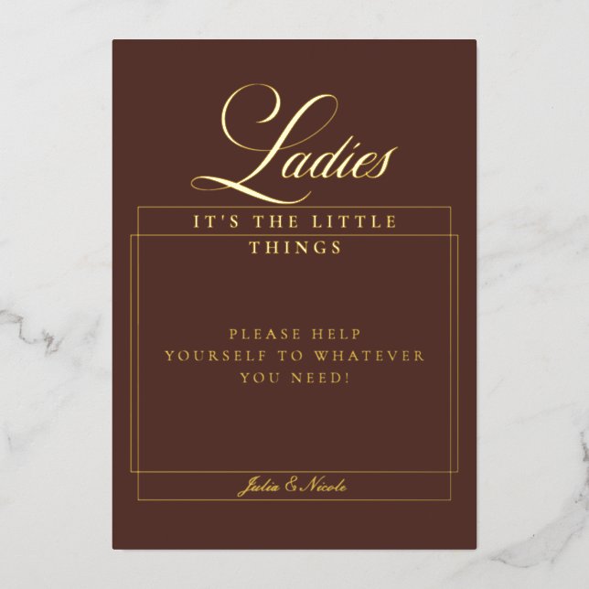 Classic Choco Brown Ladies Bathroom Basket Sign (Front)