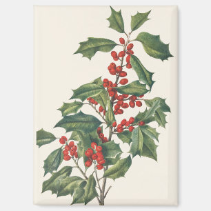 Classic Christmas Holly with Red Berries Art Magnet