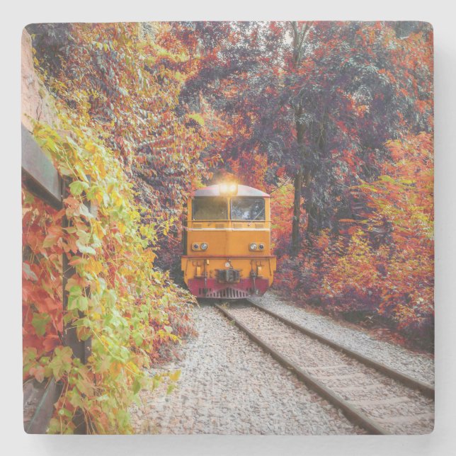 Classic Diesel Train Engine in the Fall Stone Coaster (Front)