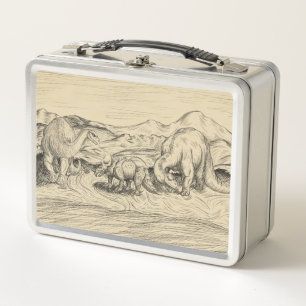 Classic Dinosaurs Metal Lunch Box