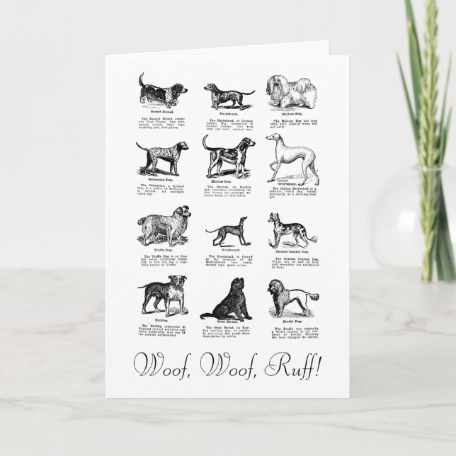 CLASSIC DOG BIRTHDAY WISH CARD (Front)