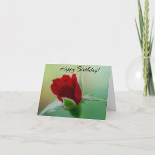 Classic Elegance Red Rose Birthday Card