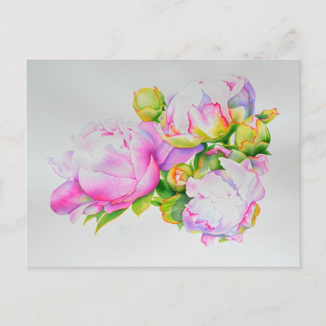 Classic elegant pink white peony floral watercolor postcard (Front)