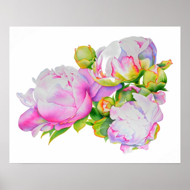 Classic elegant pink white peony floral watercolor poster (Front)