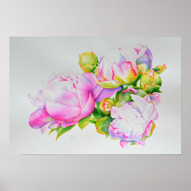 Classic elegant pink white peony floral watercolor poster (Front)