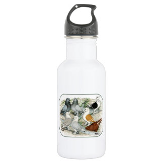 Classic Frill Barred Pigeons 532 Ml Water Bottle