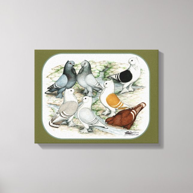 Classic Frill Barred Pigeons Canvas Print (Front)