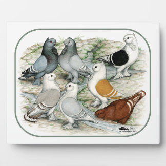Classic Frill Barred Pigeons Plaque