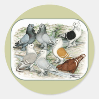 Classic Frill Barred Pigeons Round Sticker