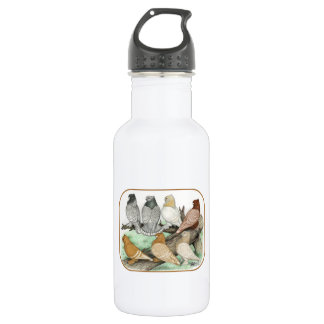 Classic Frill Pigeons Blondinettes 532 Ml Water Bottle