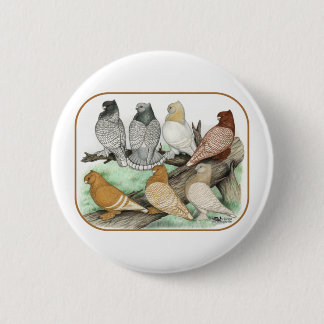 Classic Frill Pigeons Blondinettes 6 Cm Round Badge