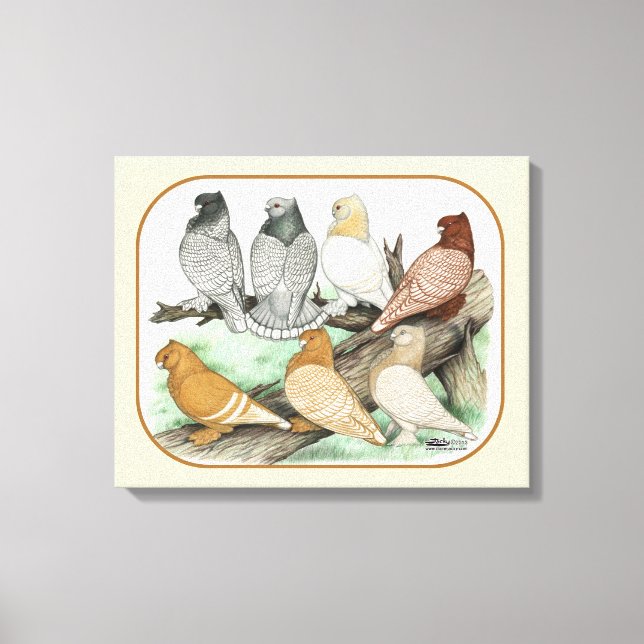 Classic Frill Pigeons Blondinettes Canvas Print (Front)