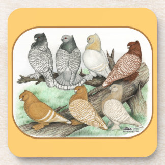 Classic Frill Pigeons Blondinettes Coaster