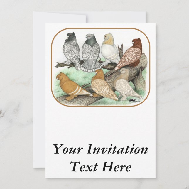 Classic Frill Pigeons Blondinettes Invitation (Front)