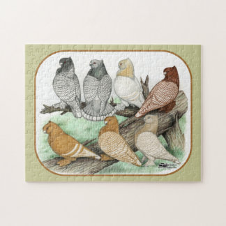 Classic Frill Pigeons Blondinettes Jigsaw Puzzle