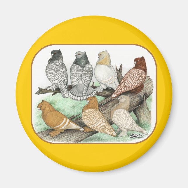 Classic Frill Pigeons Blondinettes Magnet (Front)