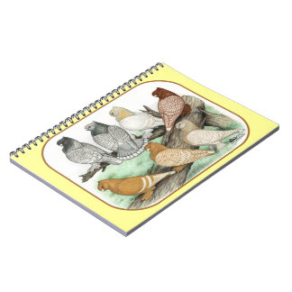 Classic Frill Pigeons Blondinettes Notebook