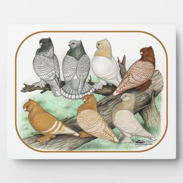 Classic Frill Pigeons Blondinettes Plaque (Front)