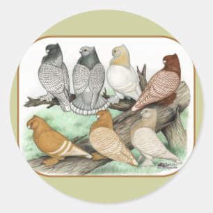 Classic Frill Pigeons Blondinettes Round Sticker
