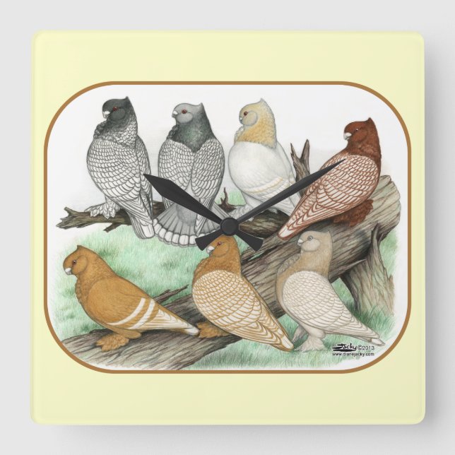 Classic Frill Pigeons Blondinettes Square Wall Clock (Front)