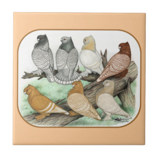 Classic Frill Pigeons Blondinettes Tile