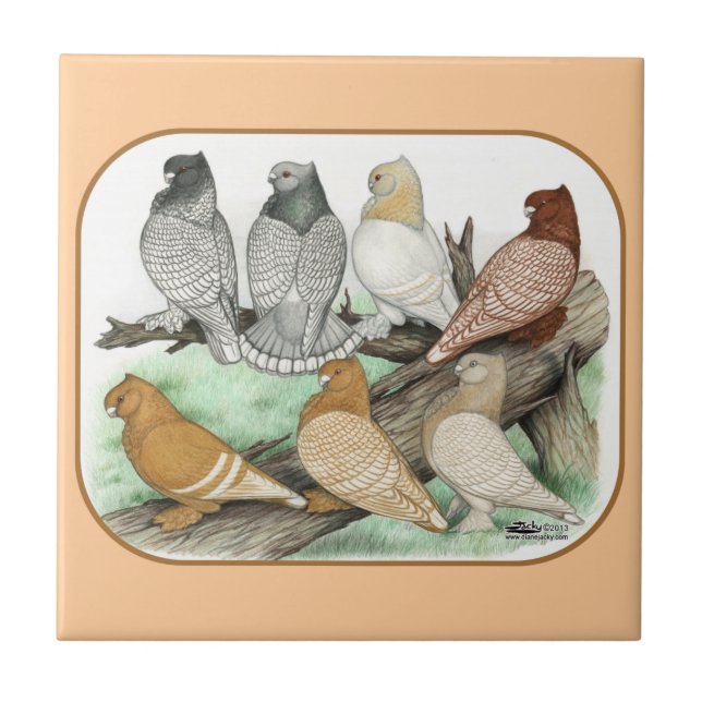 Classic Frill Pigeons Blondinettes Tile (Front)