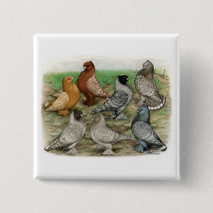 Classic Frill Pigeons Laced Blondinettes 15 Cm Square Badge