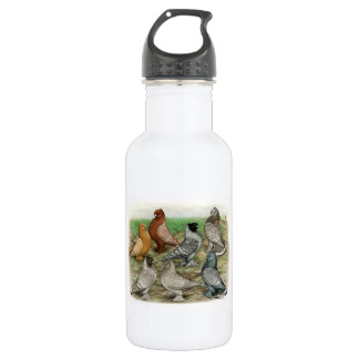 Classic Frill Pigeons Laced Blondinettes 532 Ml Water Bottle