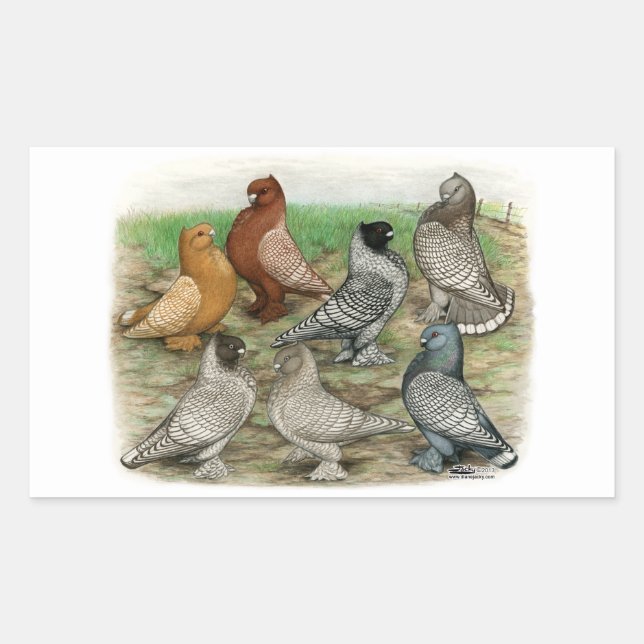 Classic Frill Pigeons Laced Blondinettes Rectangular Sticker (Front)