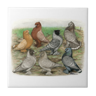 Classic Frill Pigeons Laced Blondinettes Tile