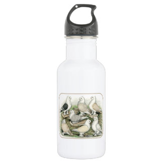 Classic Frill Pigeons Satinettes 532 Ml Water Bottle