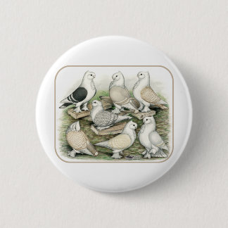 Classic Frill Pigeons Satinettes 6 Cm Round Badge