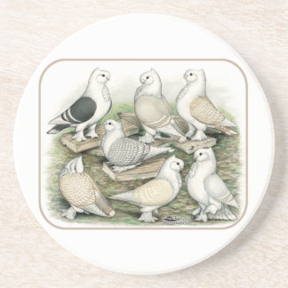 Classic Frill Pigeons Satinettes Coaster
