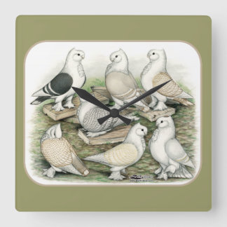 Classic Frill Pigeons Satinettes Square Wall Clock