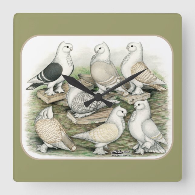 Classic Frill Pigeons Satinettes Square Wall Clock (Front)