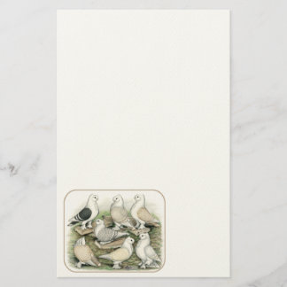 Classic Frill Pigeons Satinettes Stationery