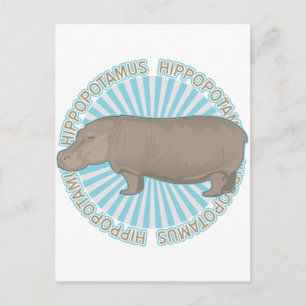 Classic Hippopotamus Postcard