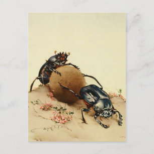 Classic Illustration Postcard