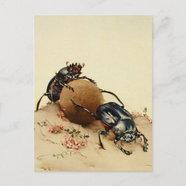 Classic Illustration Postcard (Front)